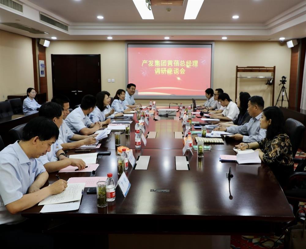 集團(tuán)黨委副書記、總經(jīng)理黃蓓帶隊調(diào)研濟(jì)南市工程咨詢院